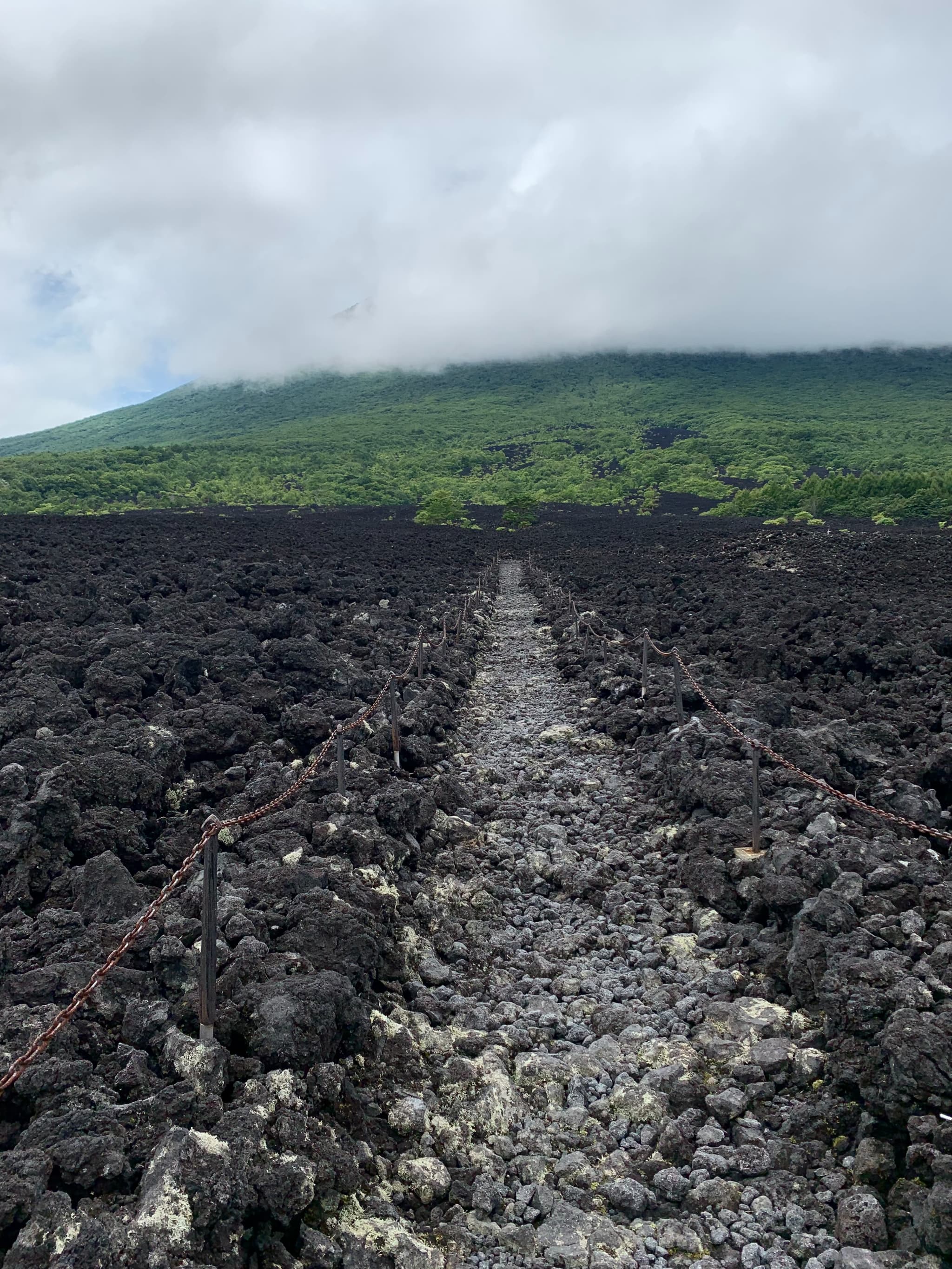 A Glimpse into 300-Year-Old Lava