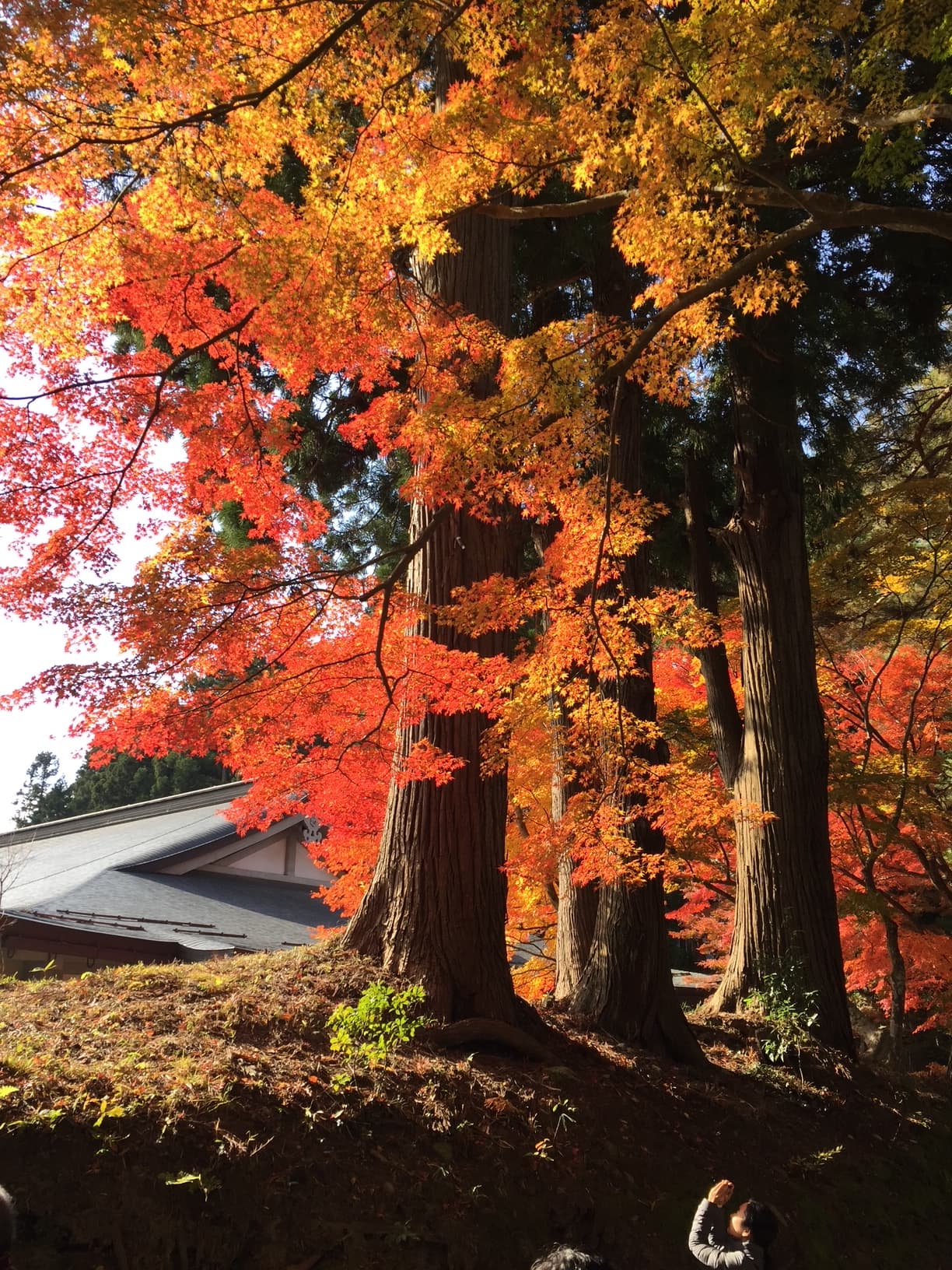 900 Years of History and the Beauty of Nature