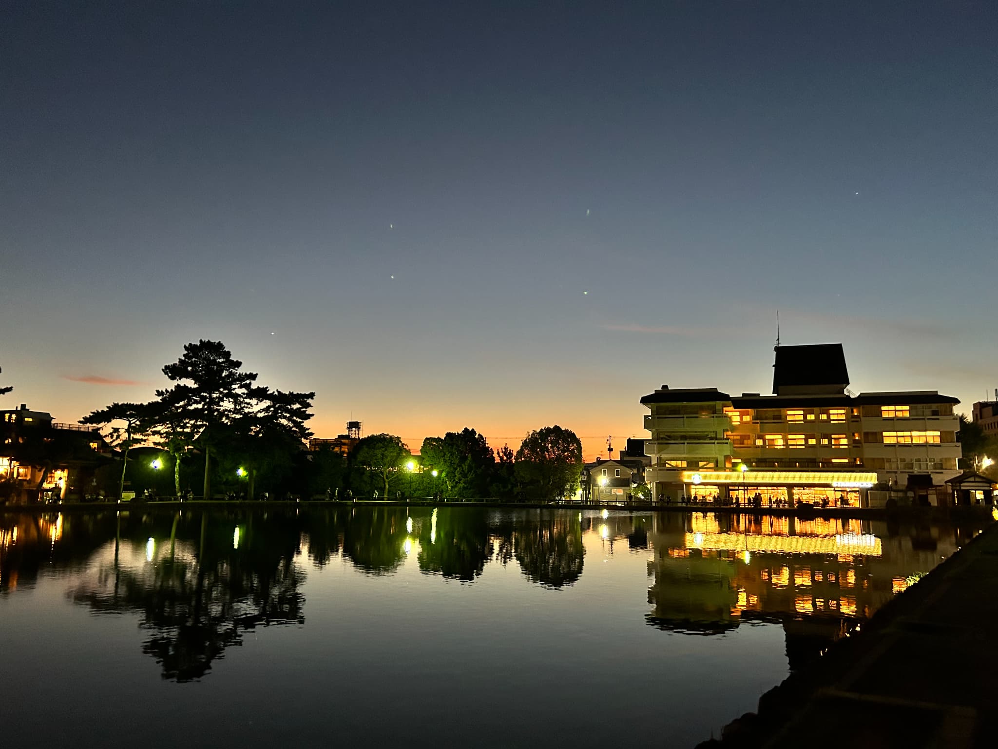 Nara: Find Peace Among Deer, Nature, and Temples