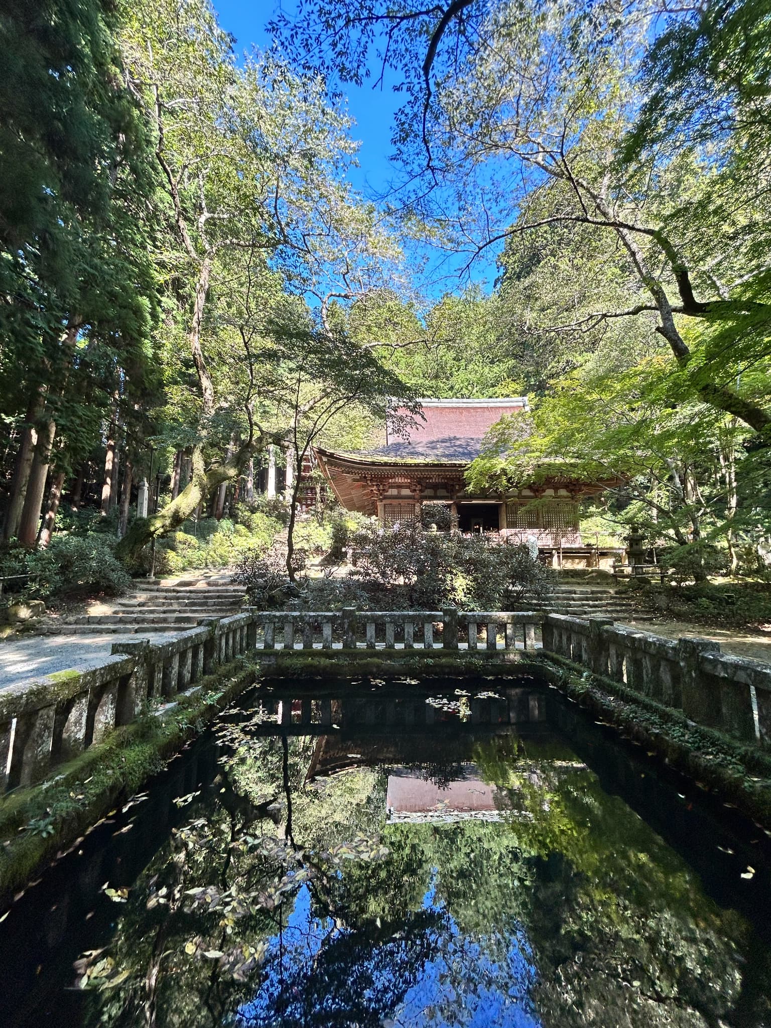 Beauty in Quietude