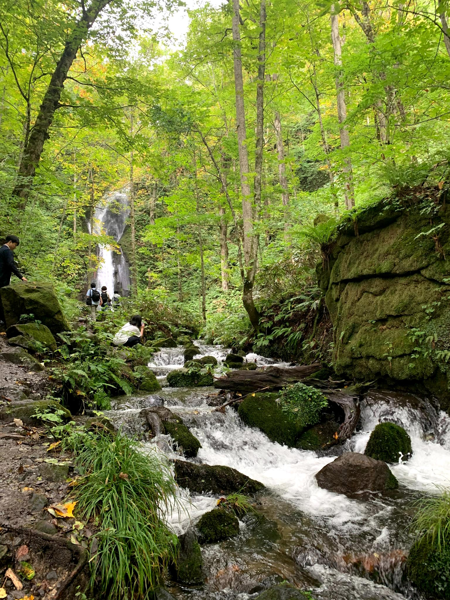 Finding Peace in a Beautiful Gorge