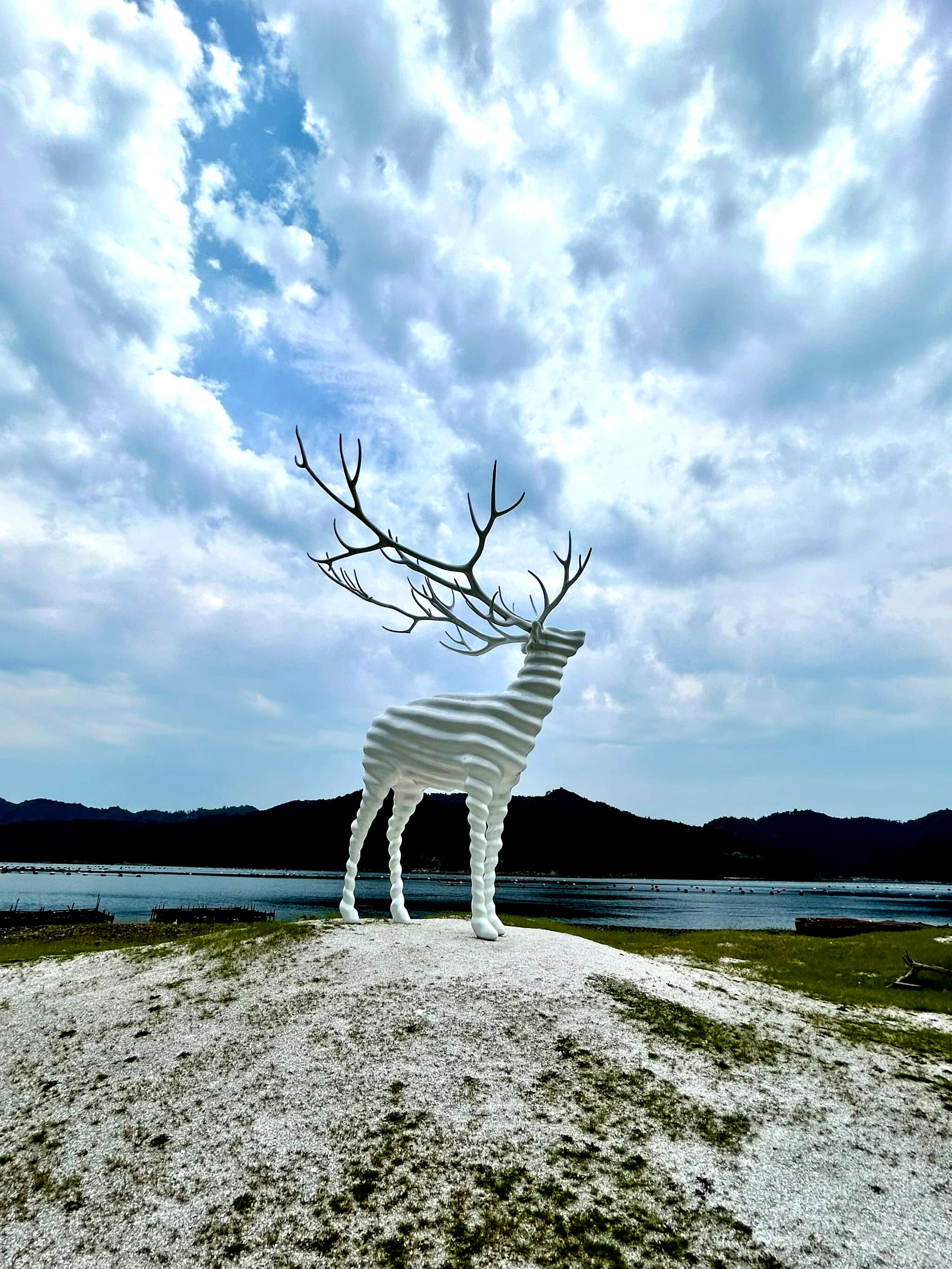 White Deer at the Beach