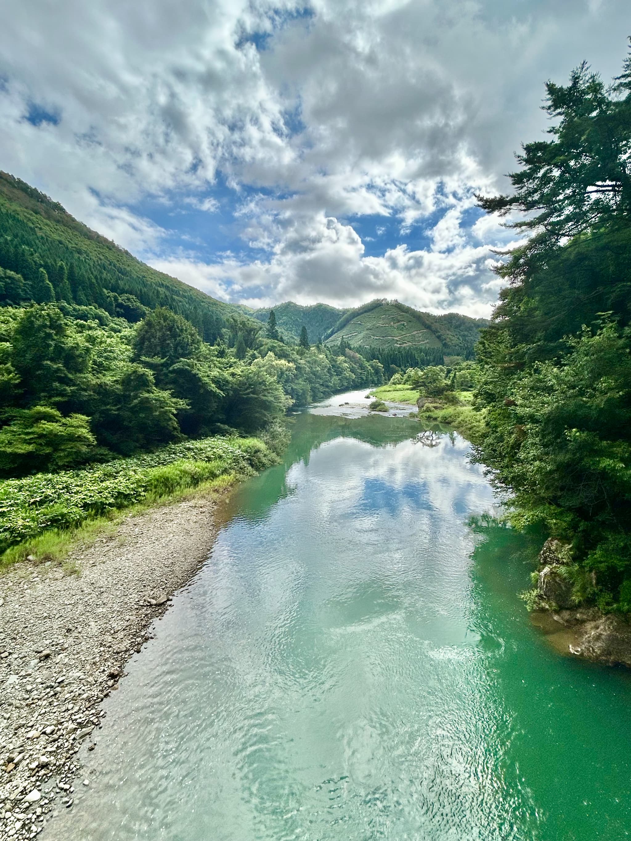 Japan Is 70% Forest
